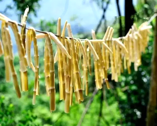 吃春笋，不可辜负的至鲜皖味